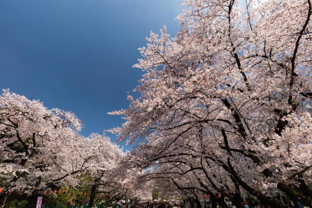 Hotel Bougainvillea Minowa Tokyo Bagian luar foto